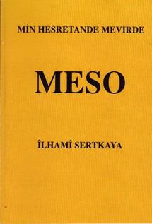 meso.jpg