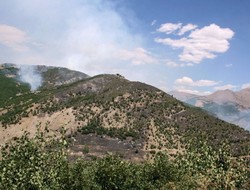 Dagîrkeran Daristanê Kurdîstanî Heme Veşnayê