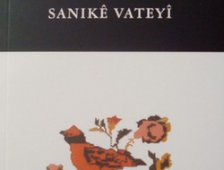 Sanikê Vateyî