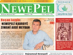 Hûmara 100. ya Newepelî Vejîya