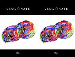 Veng û Vate