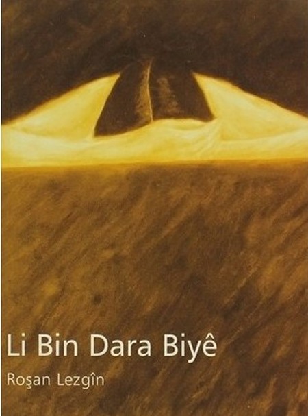 2-li-bin-dara-biye.jpg